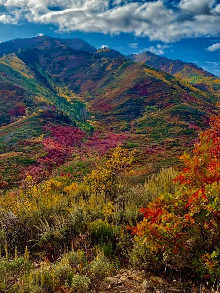 Strawberry Valley