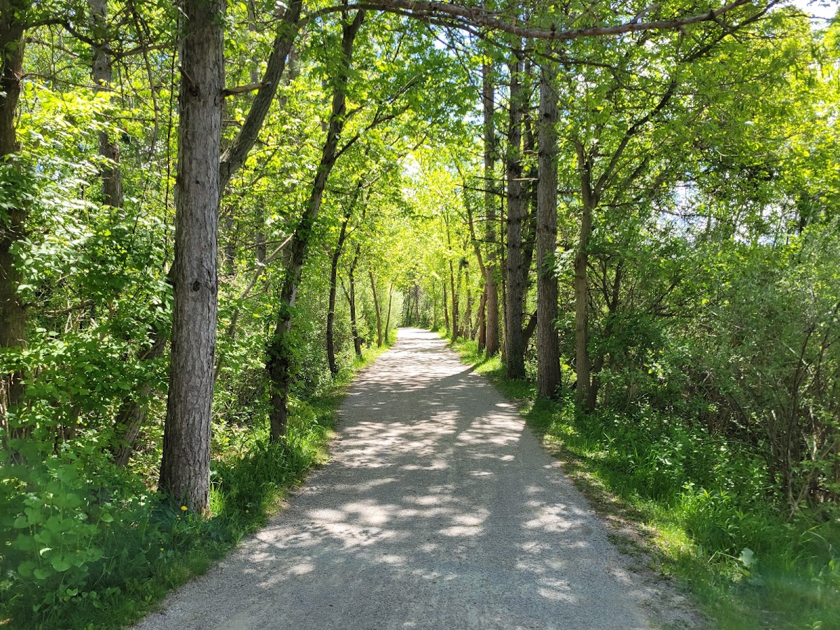 Rogers Reservoir Conservation Area