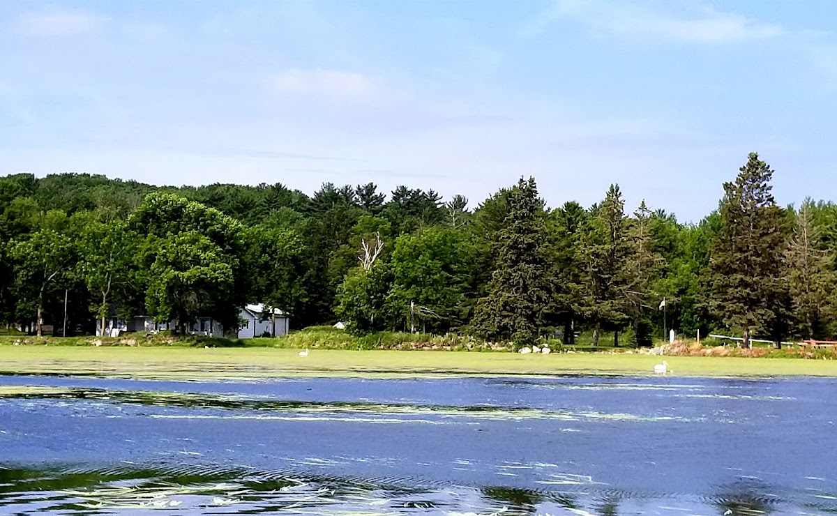 Steamboat Bay