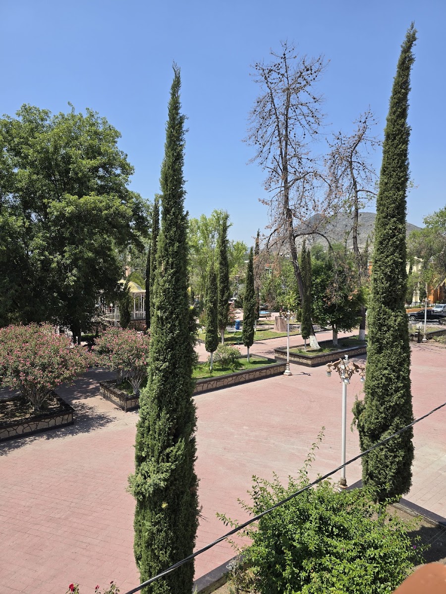 Hotel Jardín Colonial photo 3