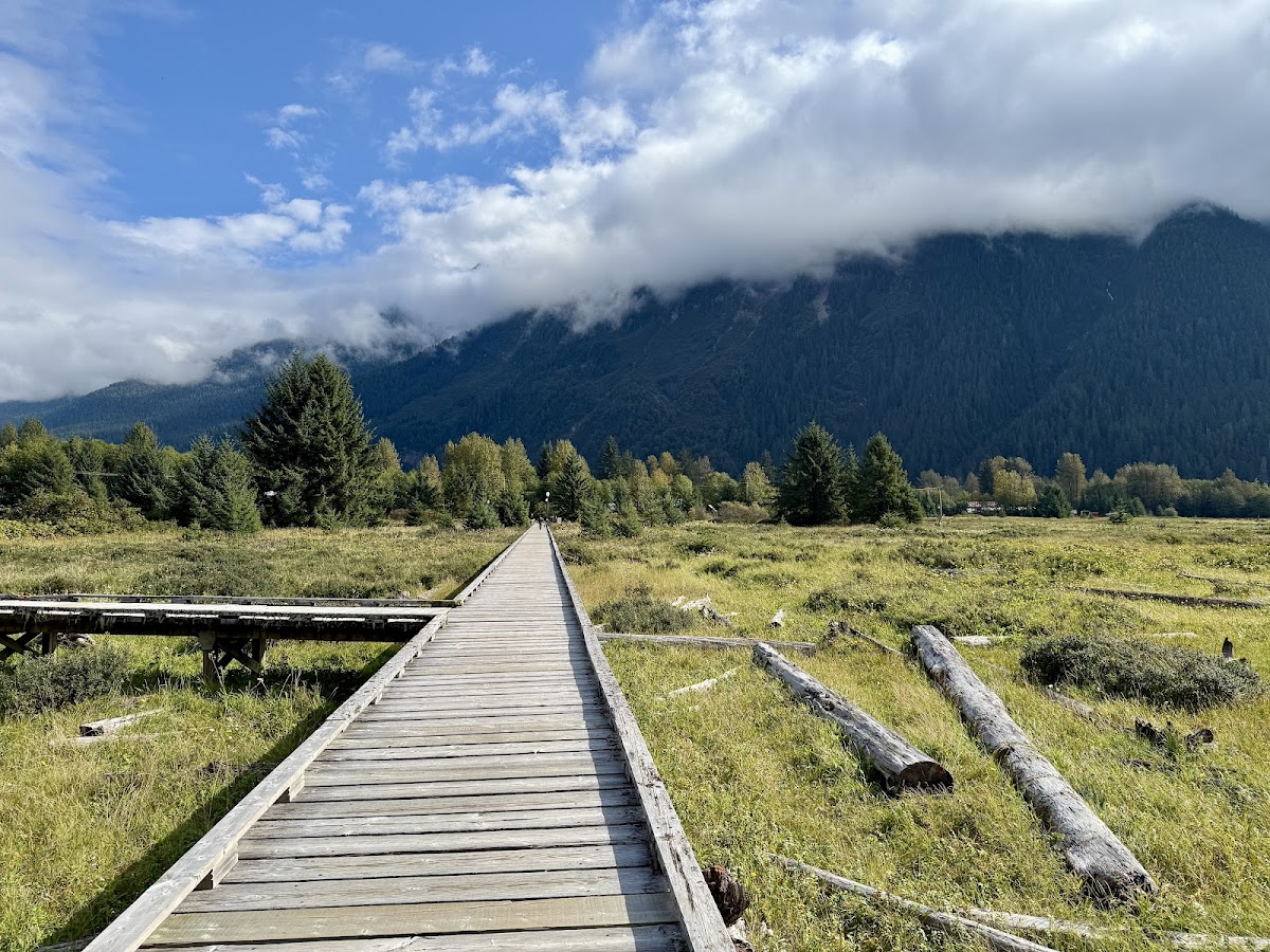 Estuary Boardwalk