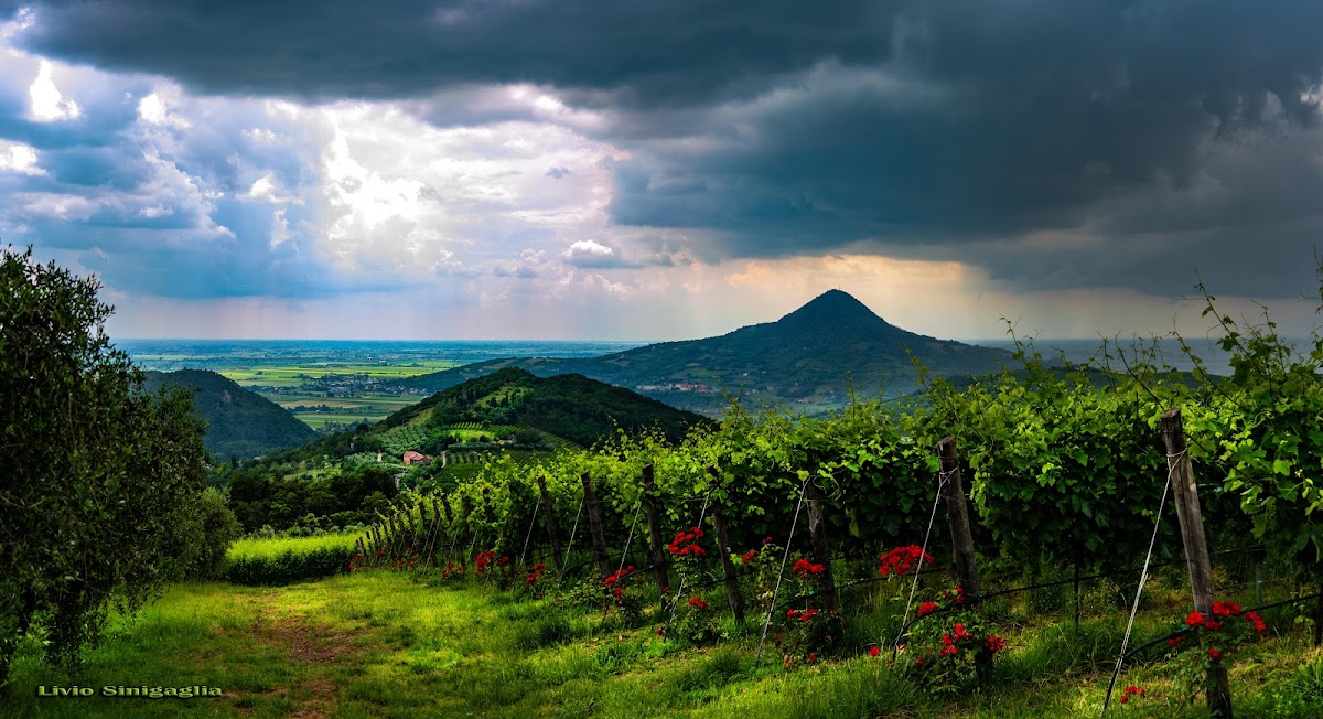 Euganean Hills