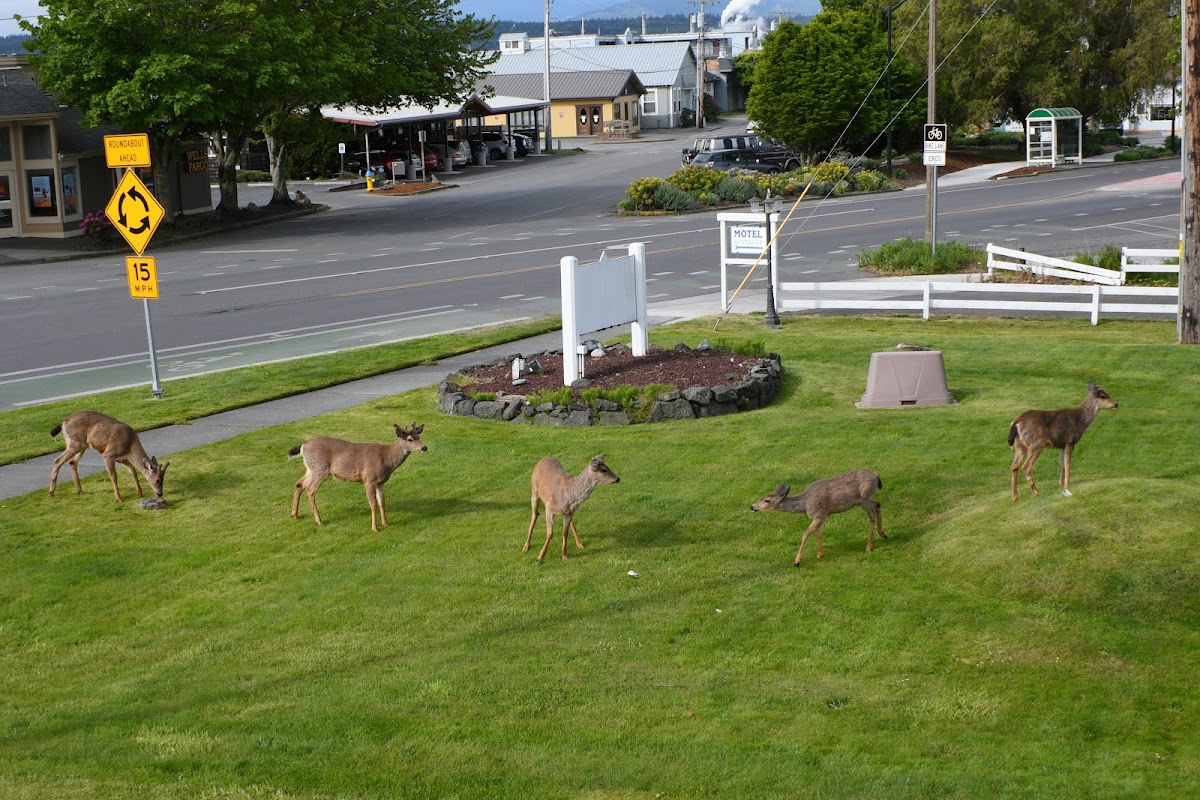 Port Townsend Inn photo 3