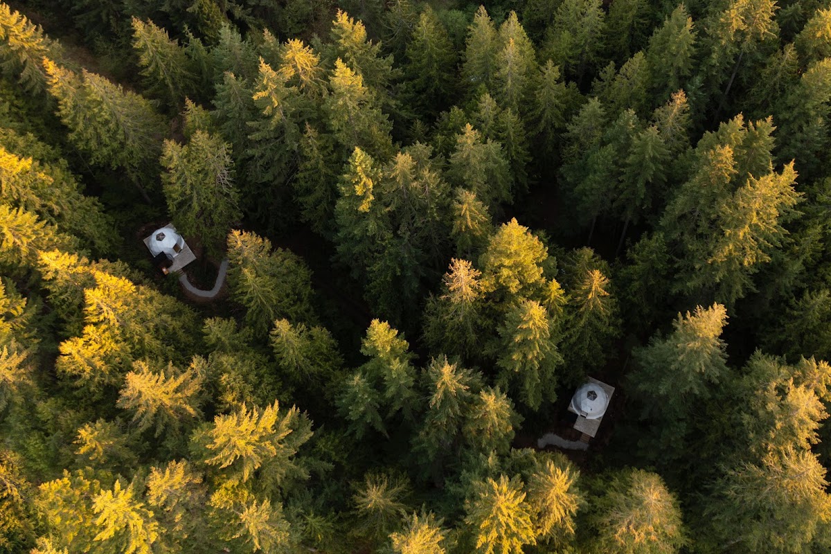 Stay Wilder Eco-Glamping Resort & Sauna photo 3