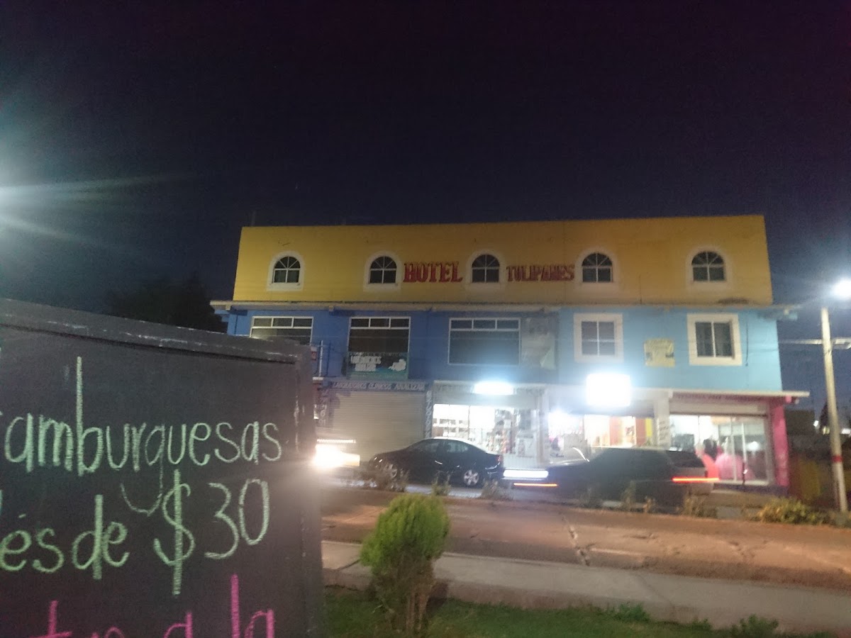 Hotel Tulipanes Cd Shagun