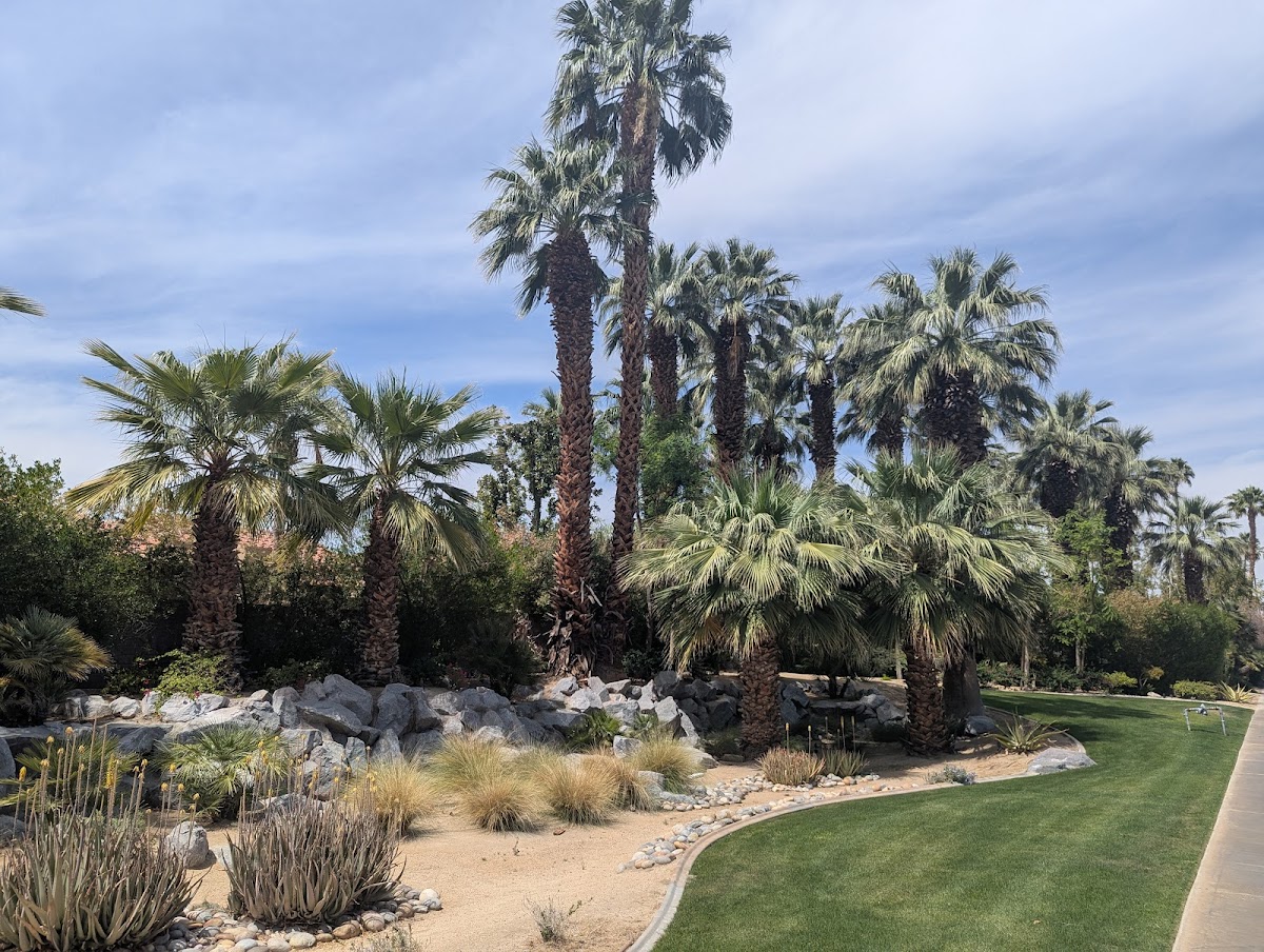 The Oasis Resort photo 3