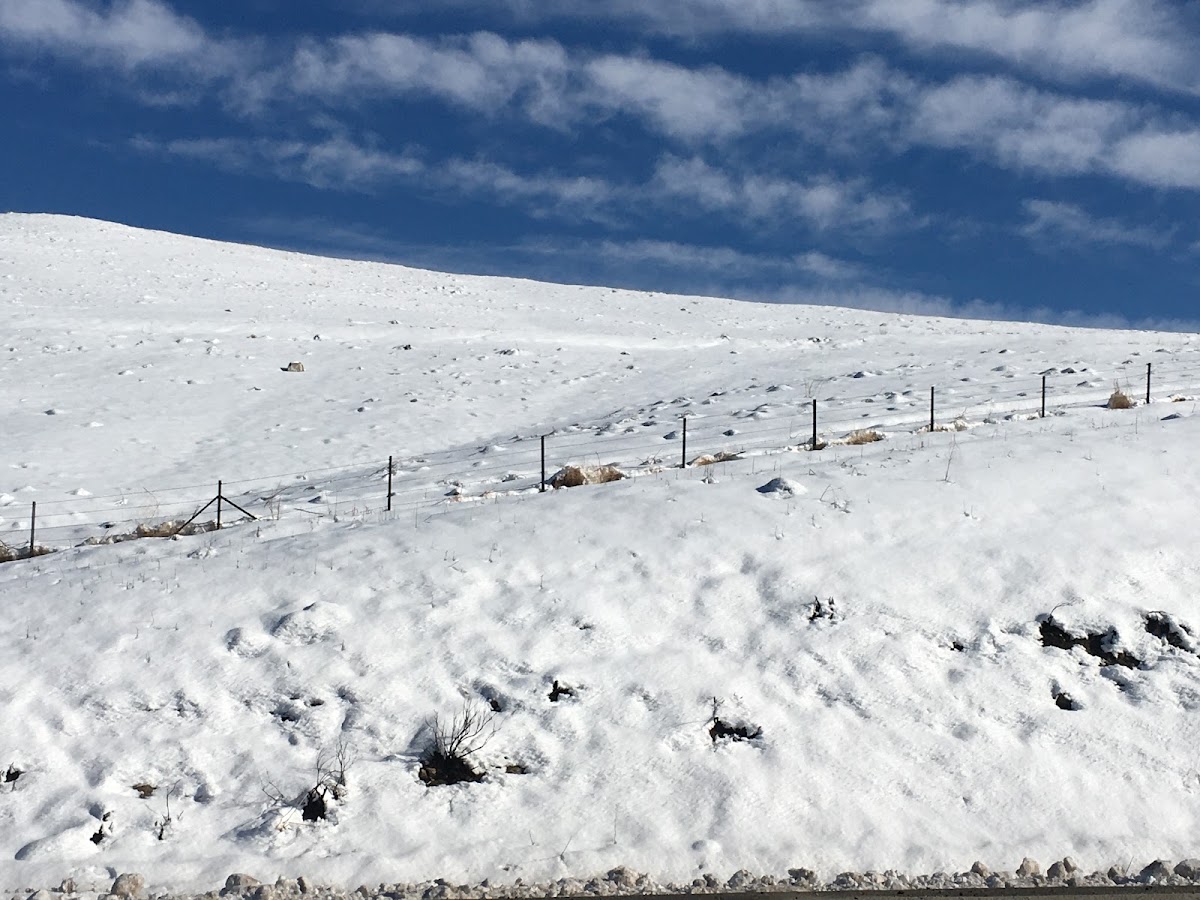 Tehachapi Pass