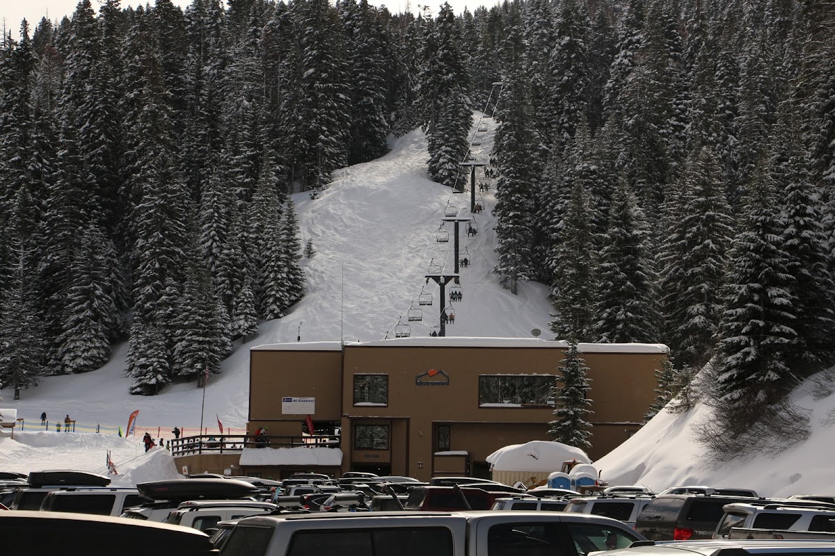 Bluewood photo 2