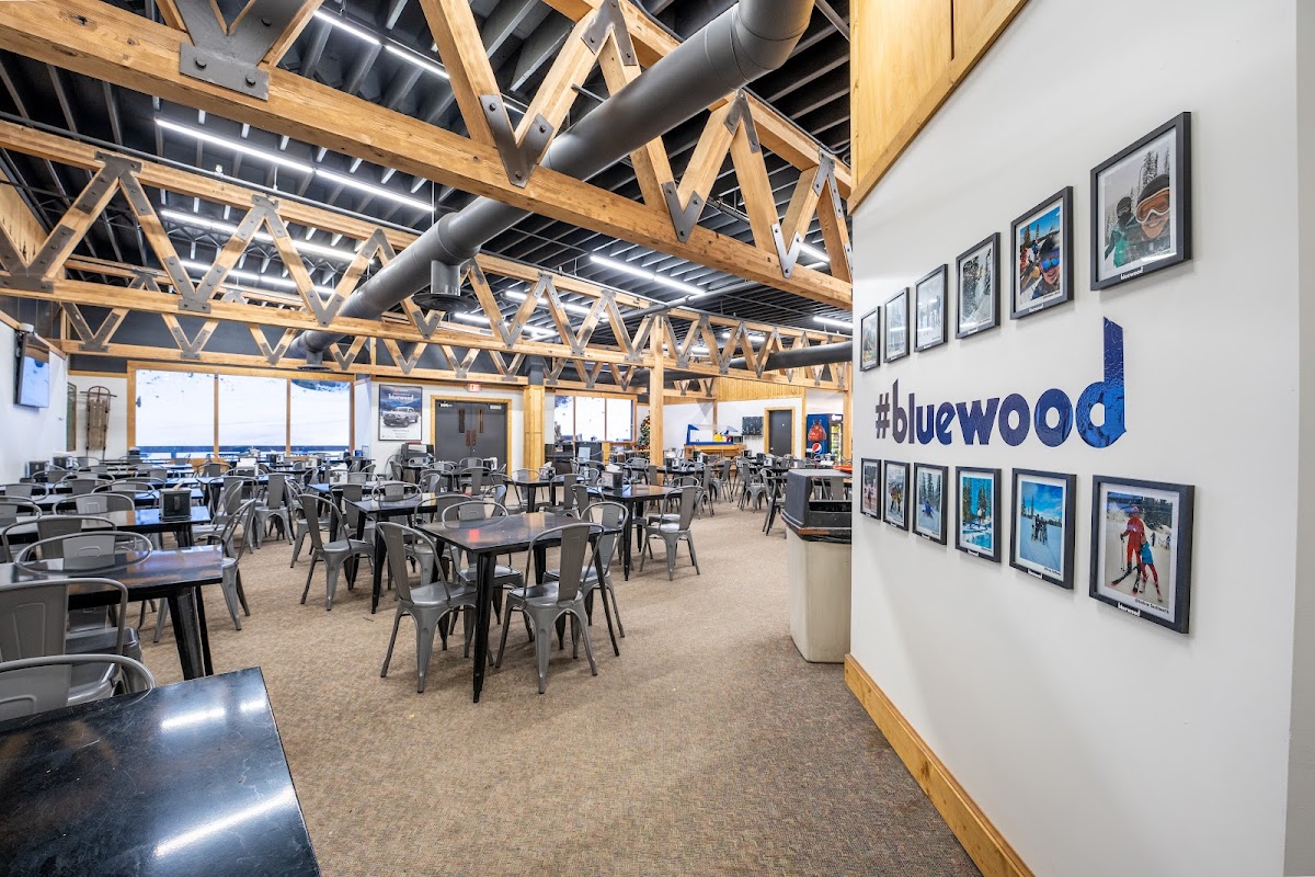 Bluewood photo 3