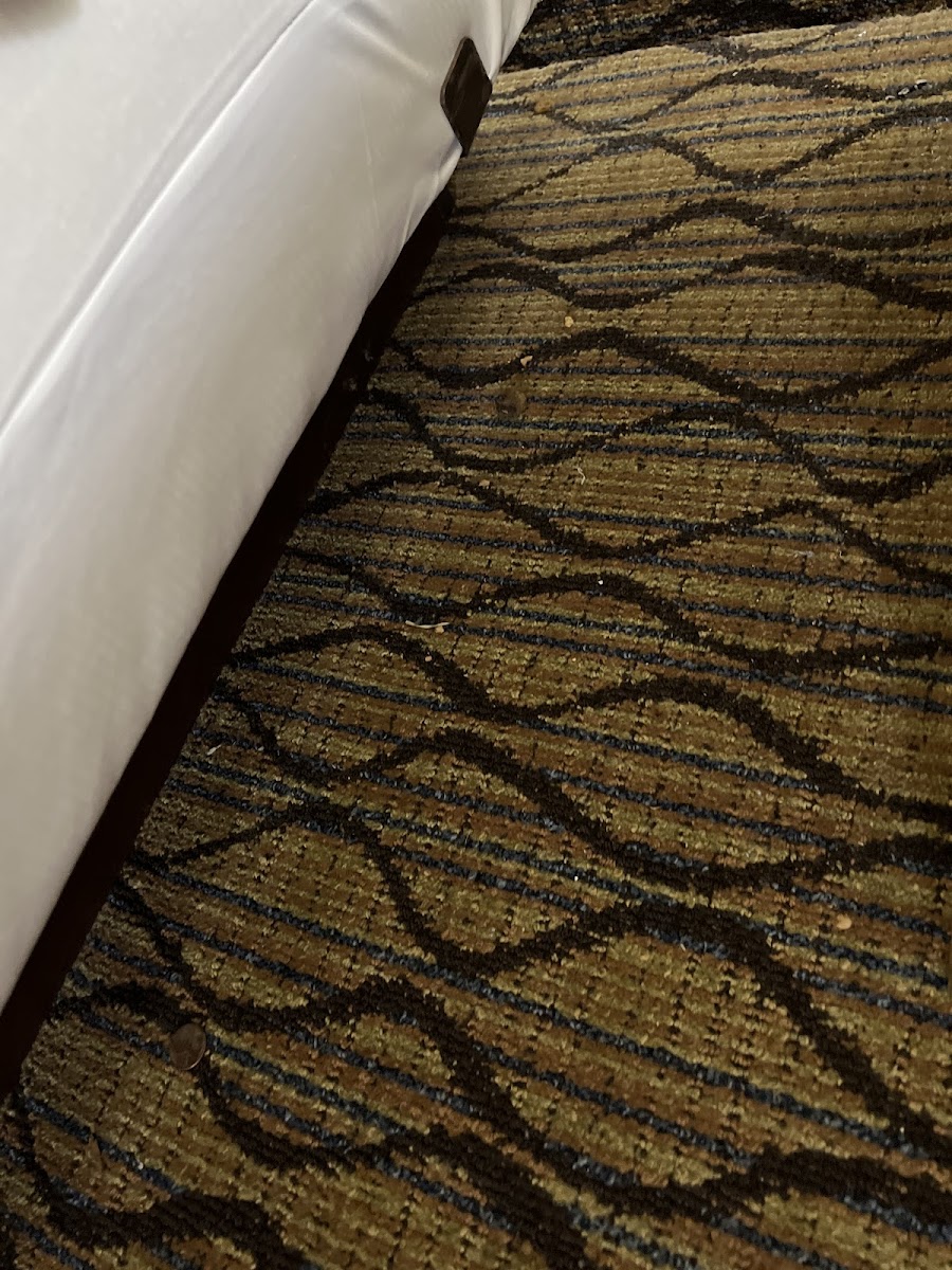 Country Inn photo 3