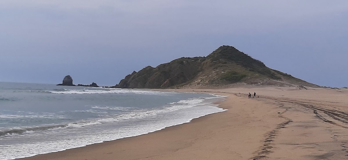 Punta Chivo