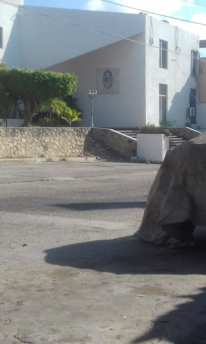 Hotel Lobo del Mar