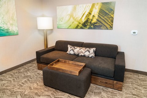 SpringHill Suites by Marriott Newark Fremont photo 2