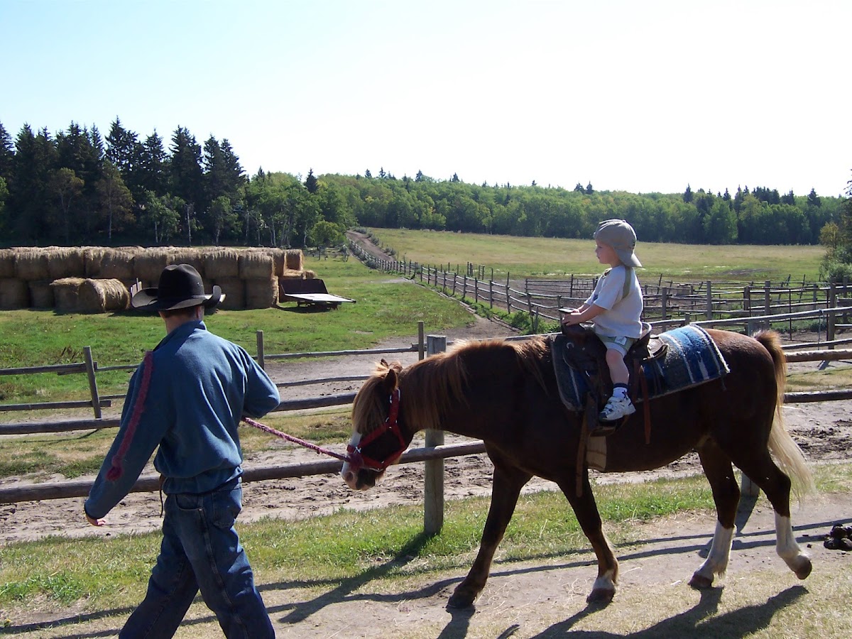 Geiler Corner - All Season Luxury Cabins