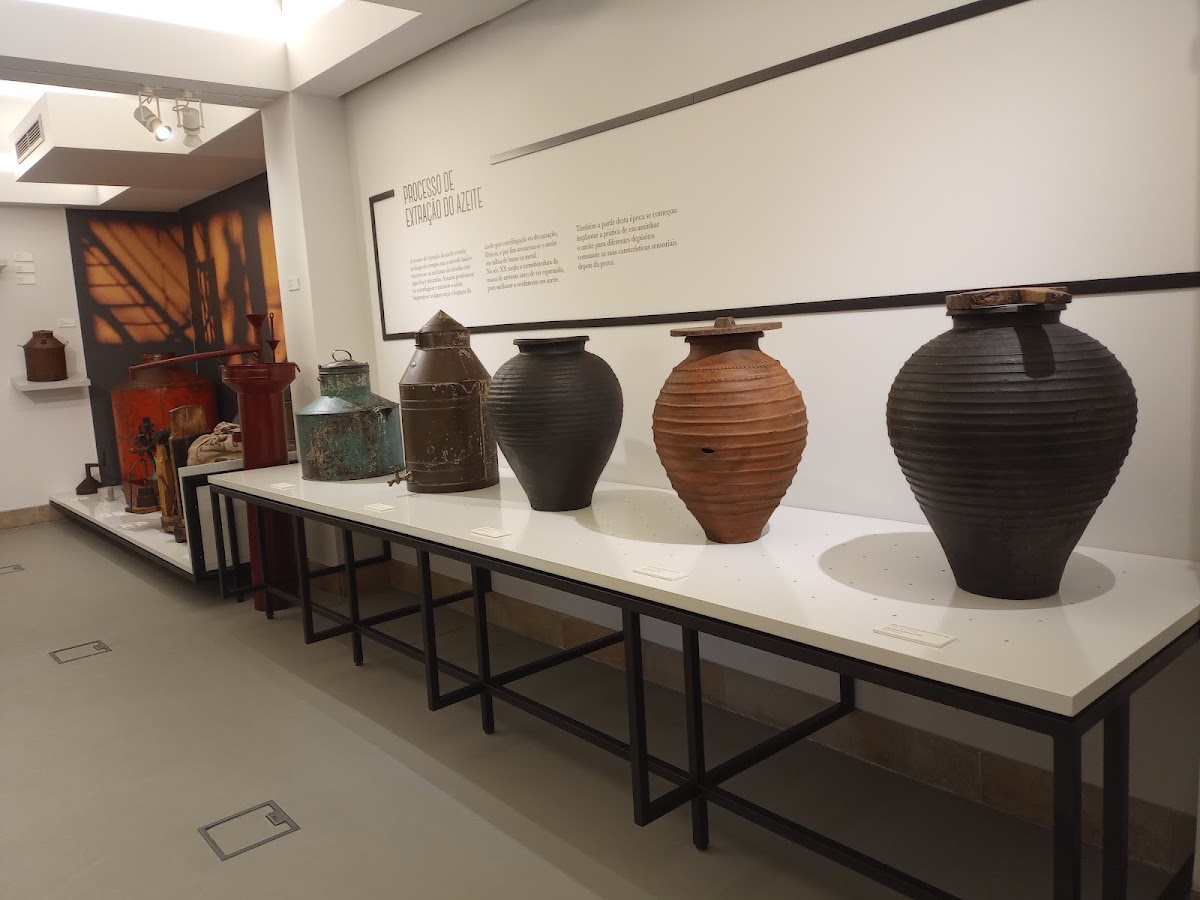 Museu da Oliveira e do Azeite