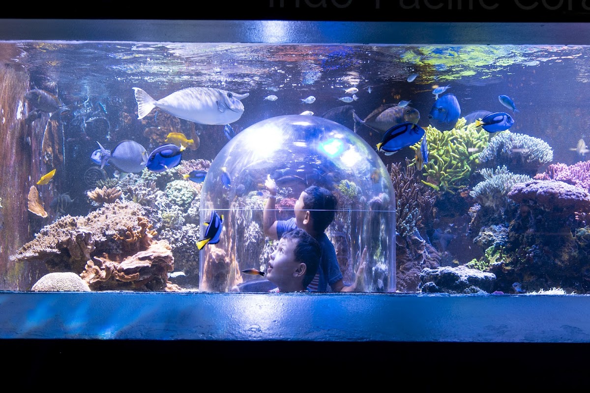 Butterfly House & Aquarium