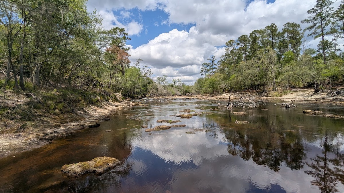 Big Shoals Wildlife Management Area - Zone B