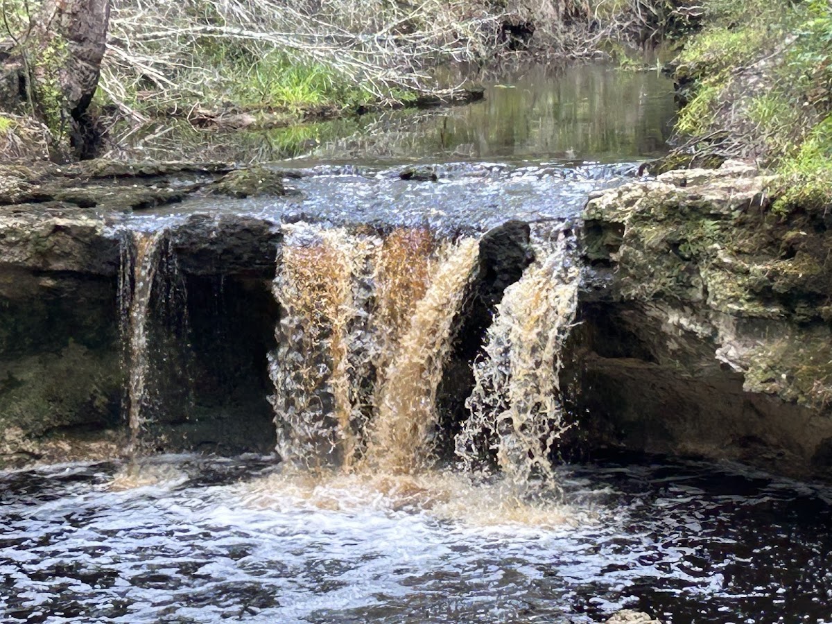 Falling Creek Falls