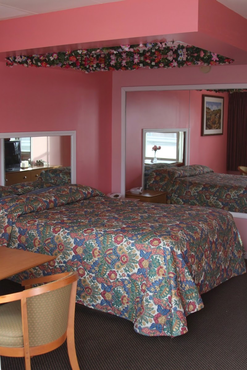 New Relax Inn photo 3