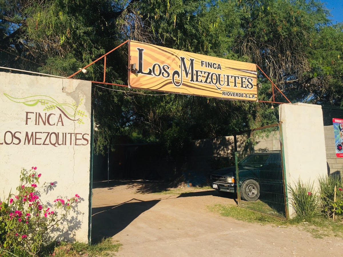 Finca los mezquites