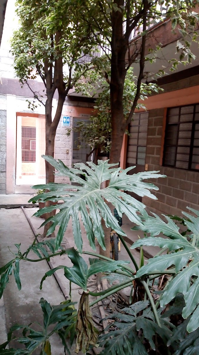 Casa de huéspedes La Estancia photo 2