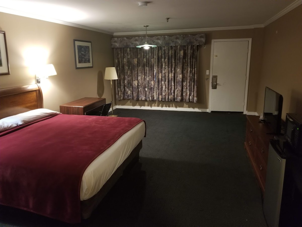 Budget Motor Inn