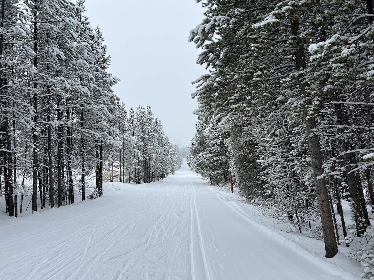 Cross Country Skiing