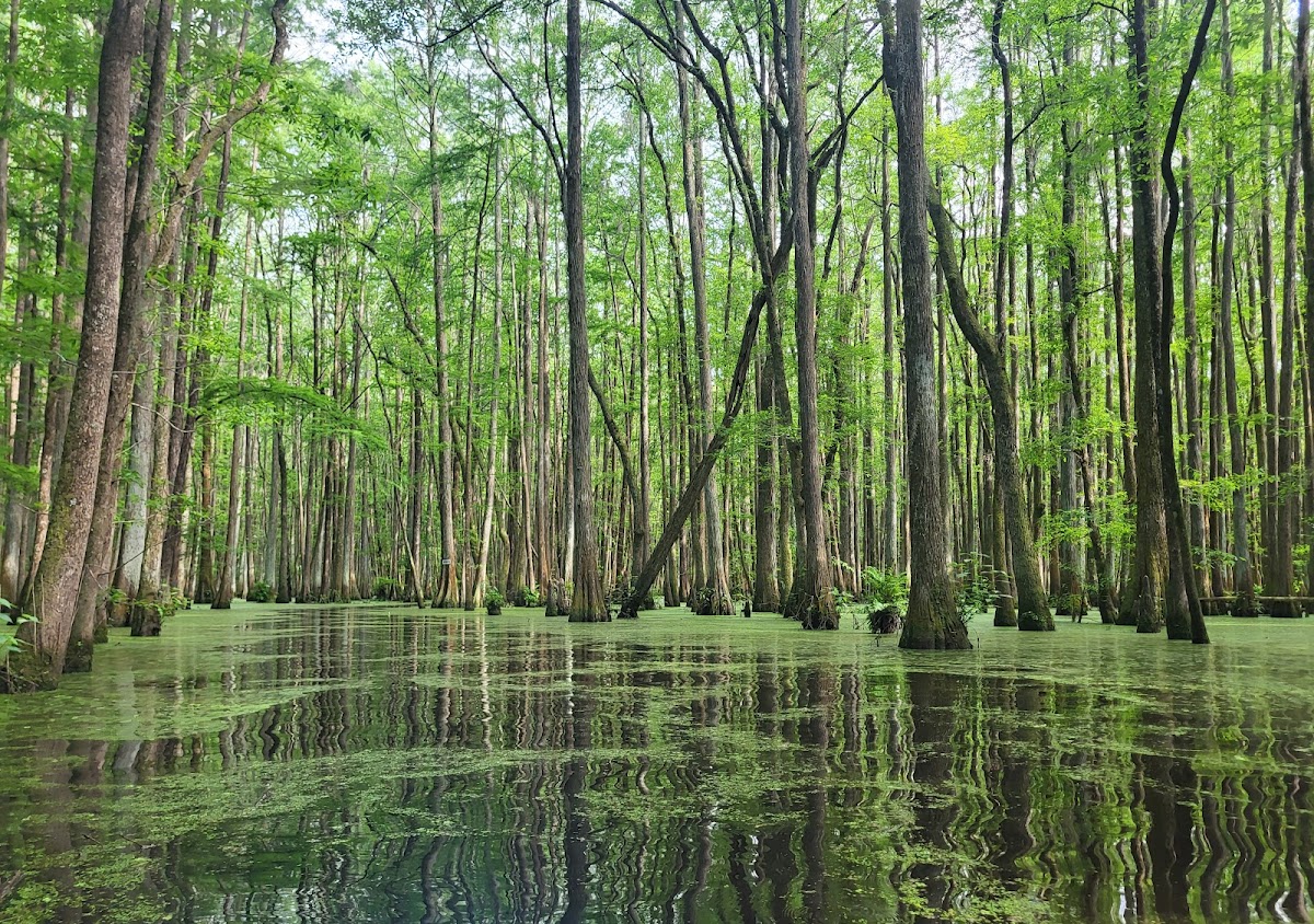 Blackwater Preserve