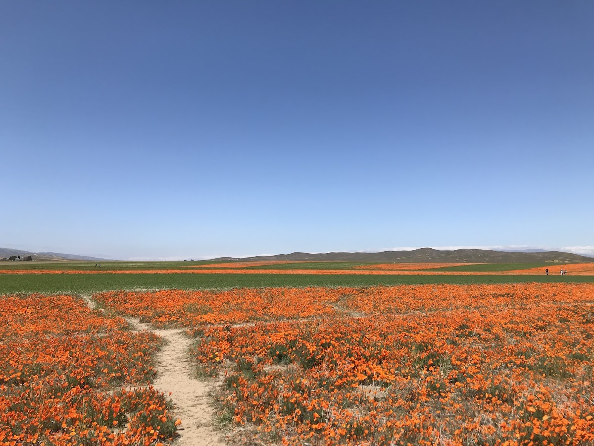 Antelope Valley