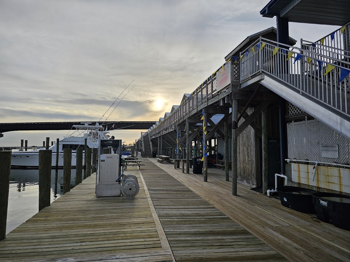 Venice Fishing Lodge