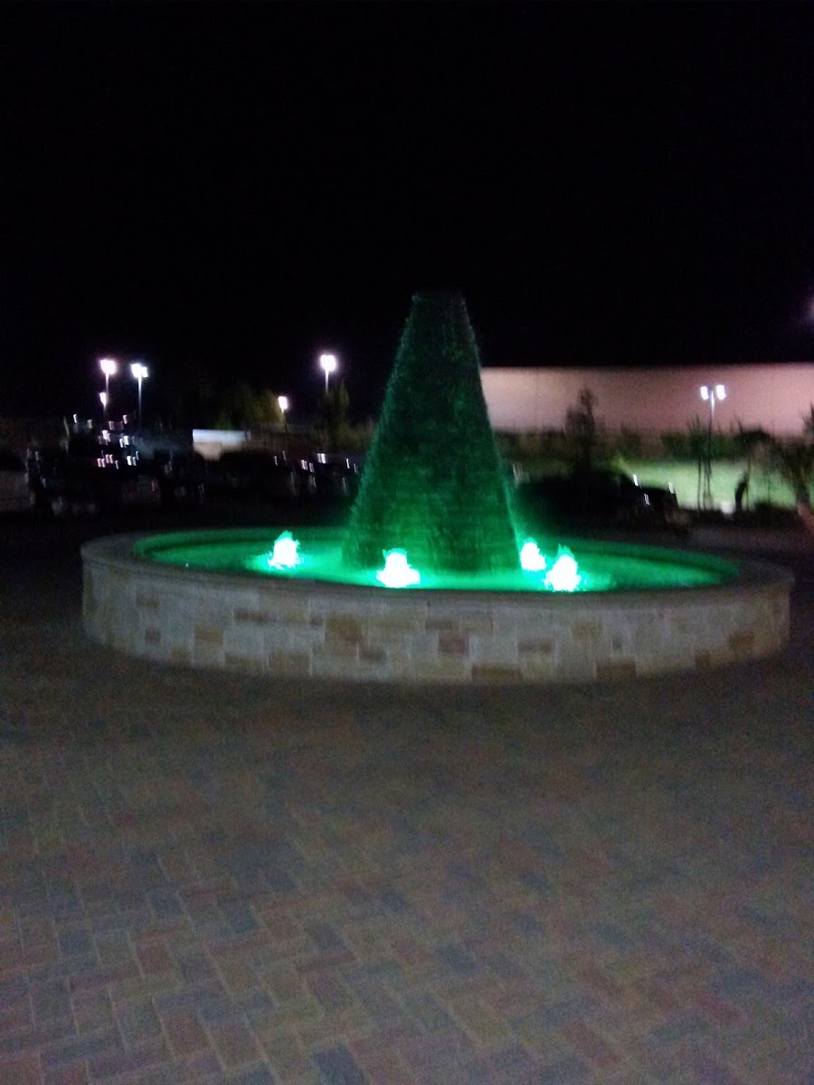 Residence Inn by Marriott Tyler photo 3