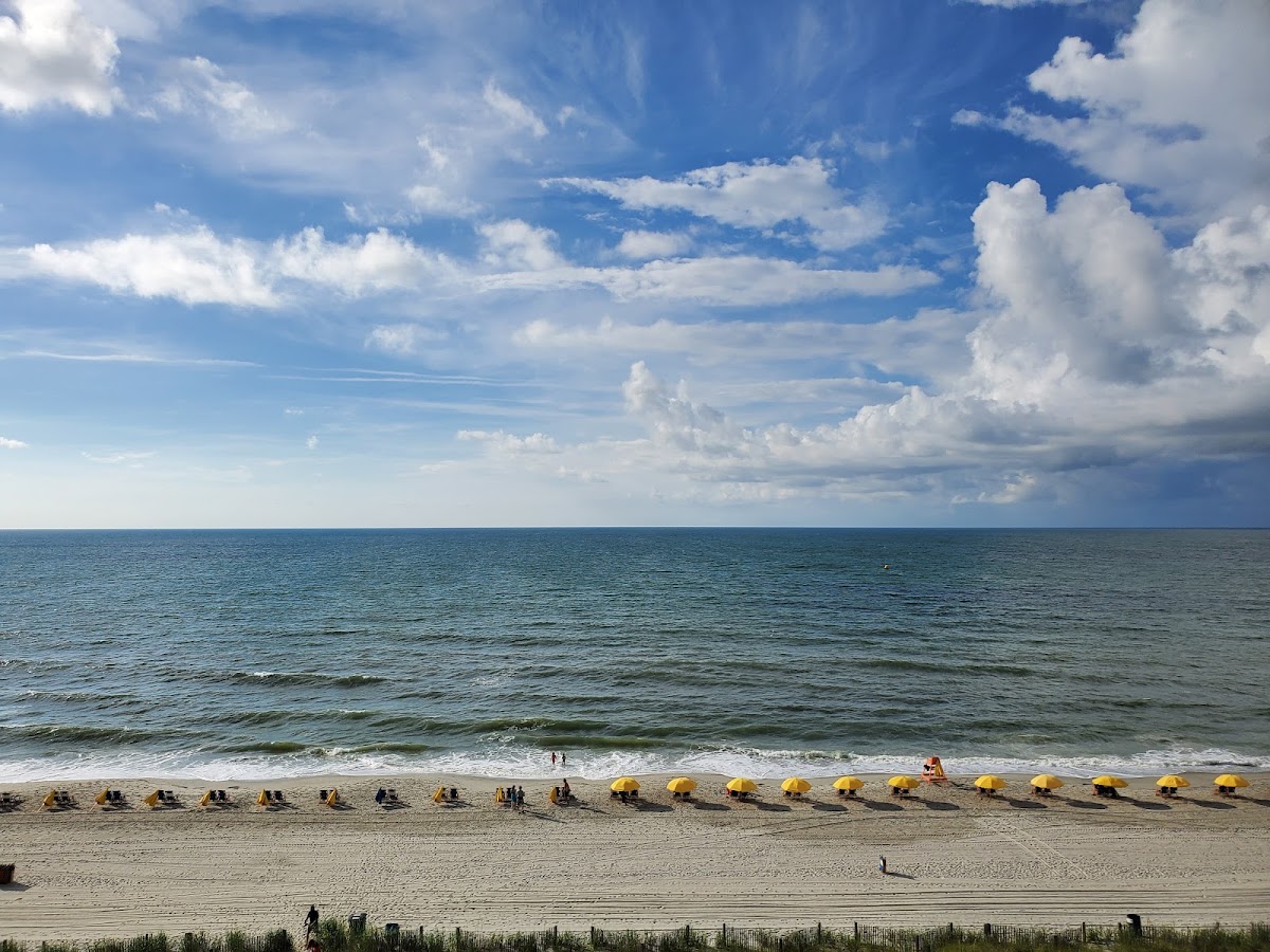 Residence Inn by Marriott Myrtle Beach Oceanfront photo 3