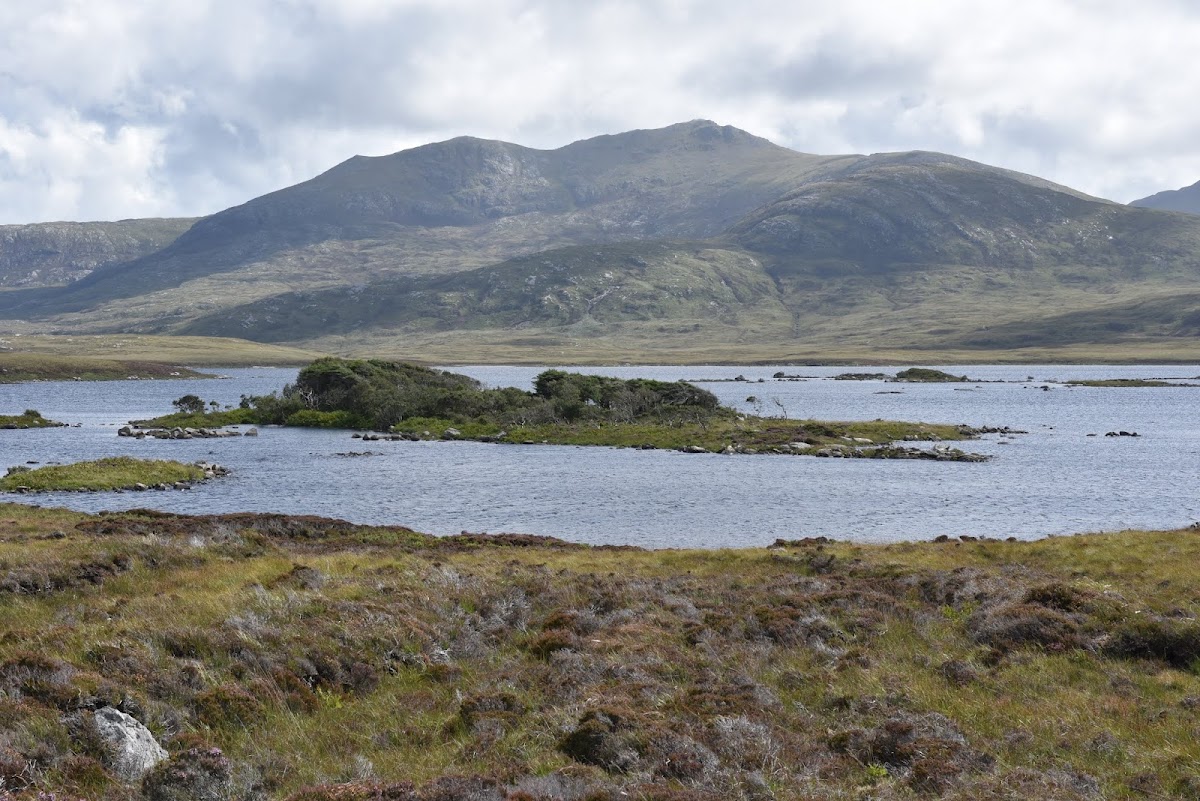 Loch Druidibeag