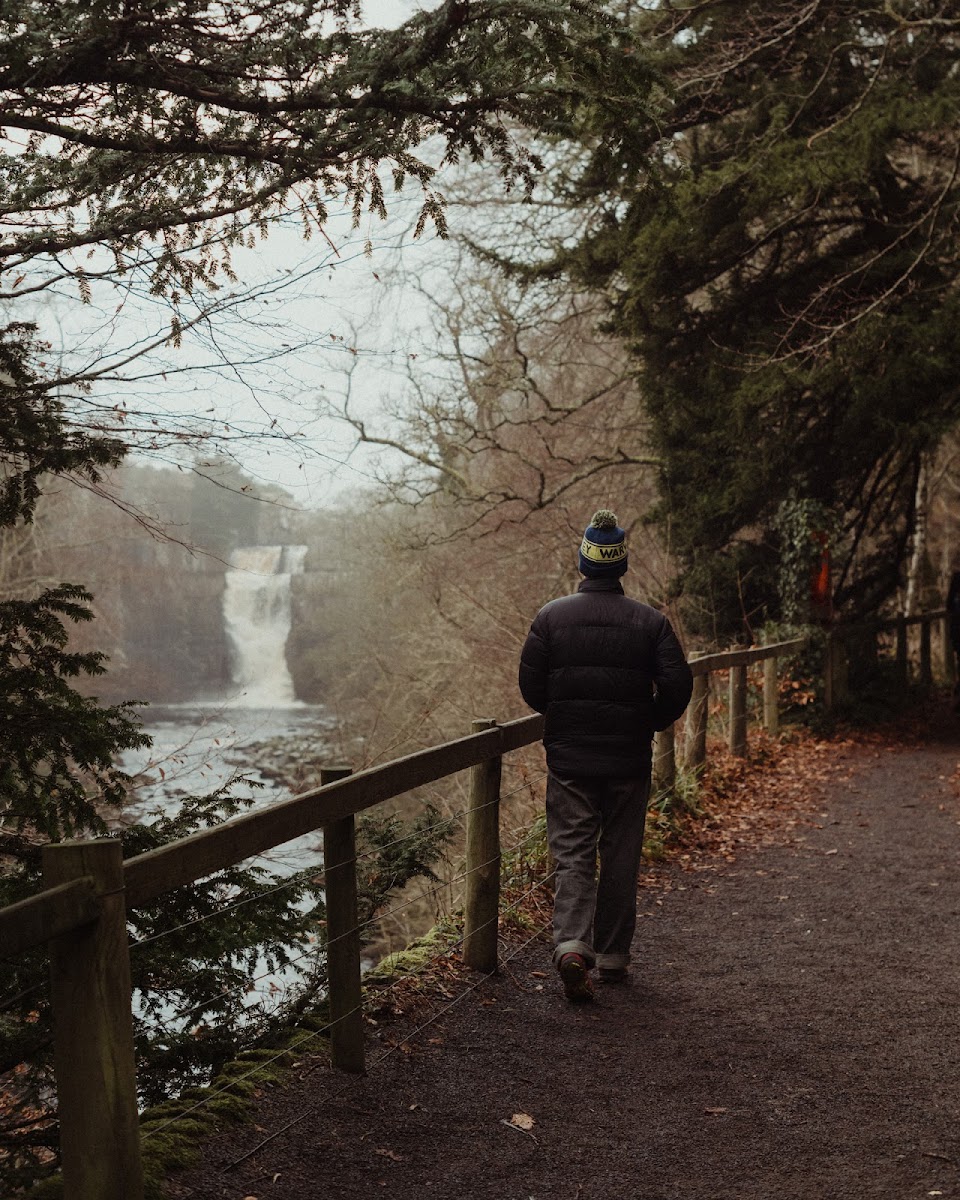 High Force Hotel photo 3