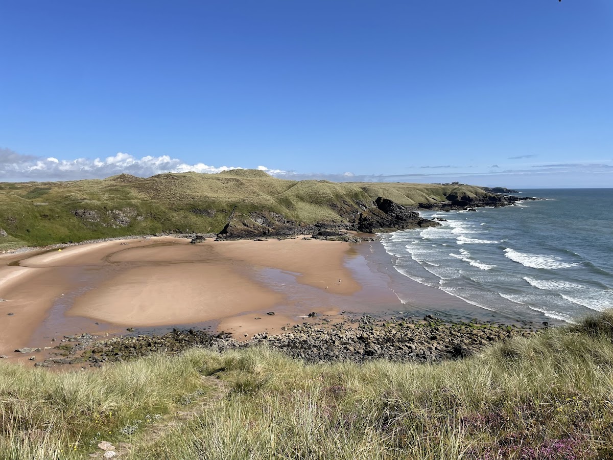 Forvie National Nature Reserve