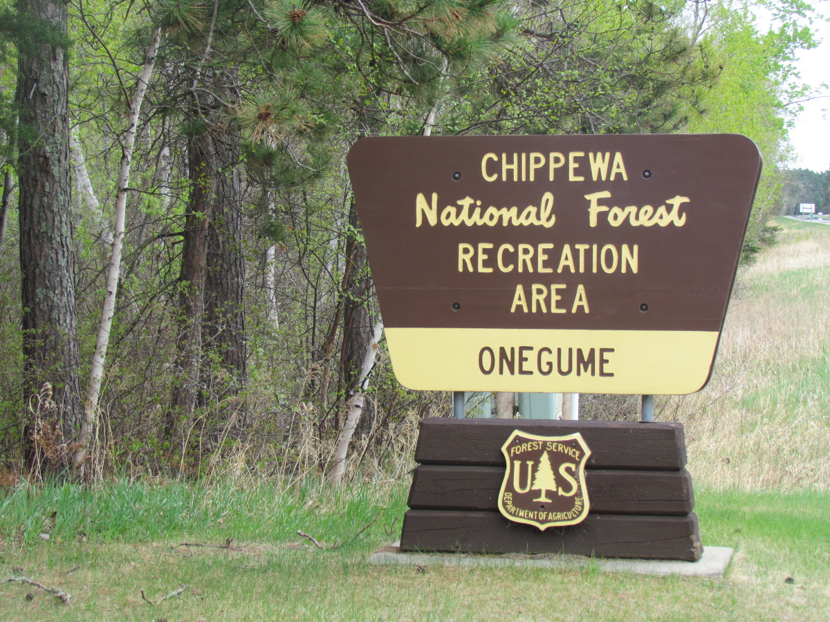 Chippewa National Forest