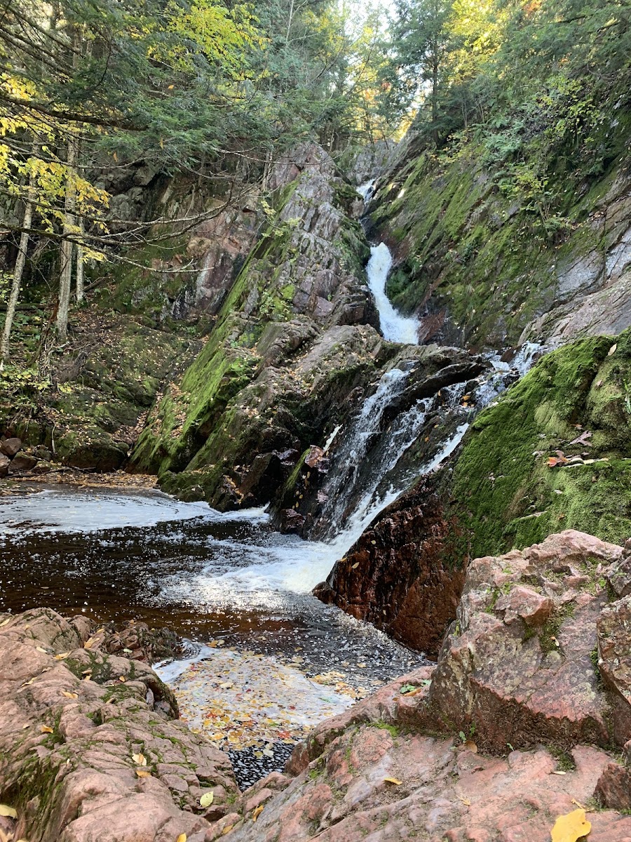 Morgan Falls