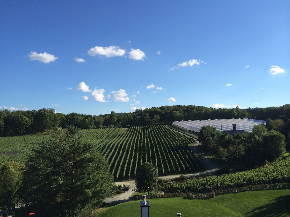 Le Vignoble du Ruisseau - Winery & Cidery