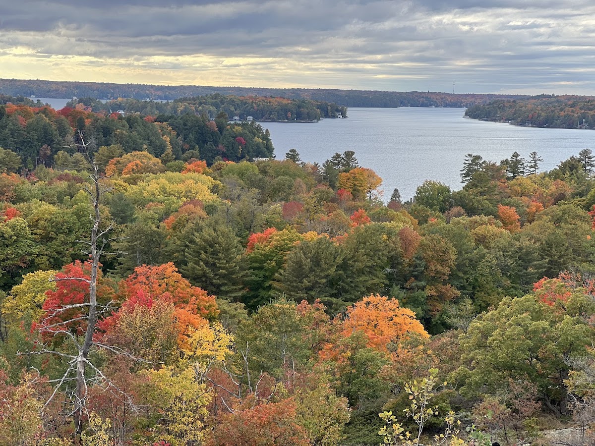 Huckleberry Rock Lookout Trail