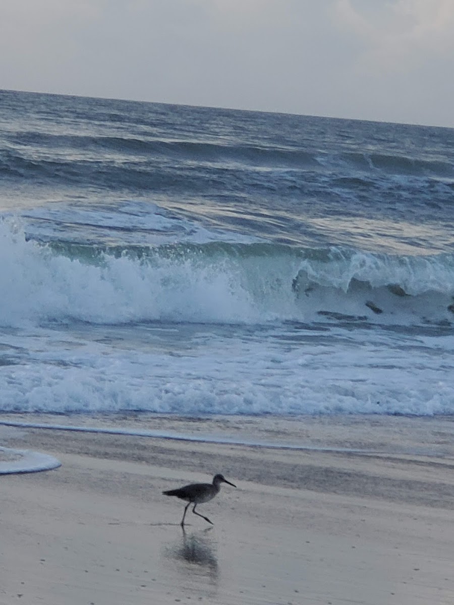 Sea Vista Motel photo 3