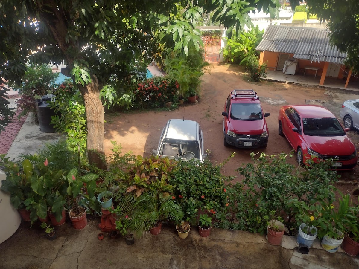 Bungalows carmen photo 3