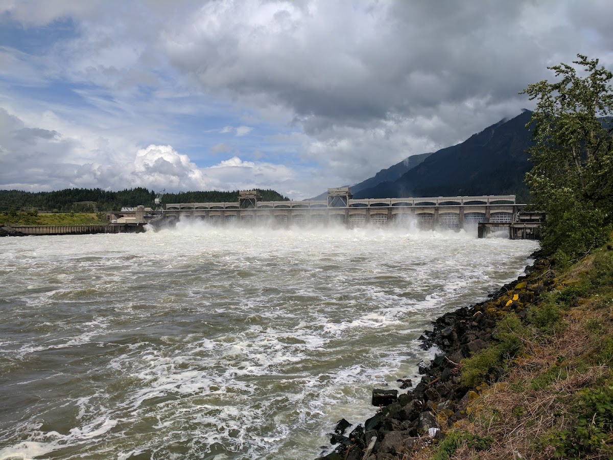 Bonneville Dam