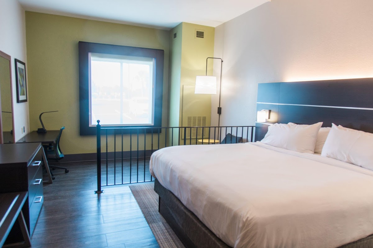 Holiday Inn Express & Suites Columbia-Fort Jackson by IHG photo 2