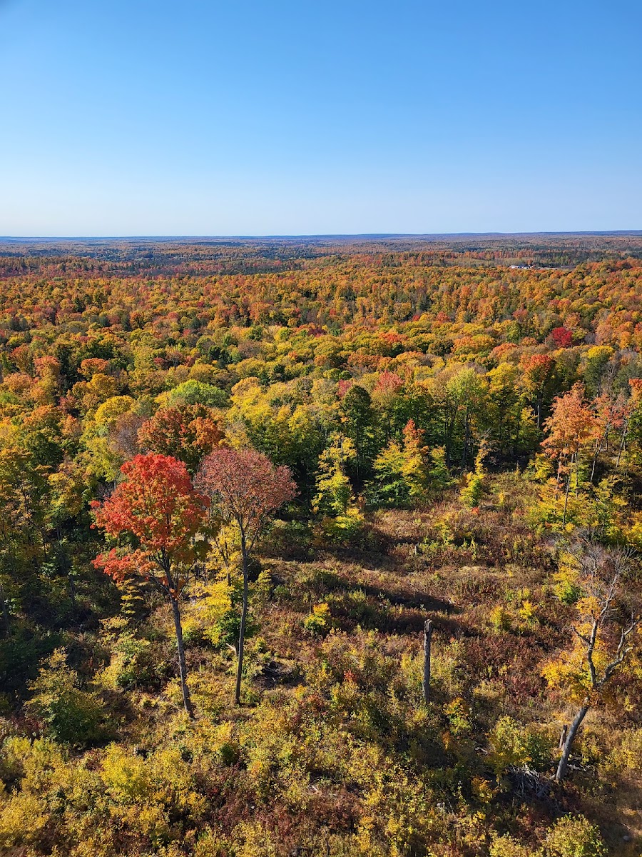 Chequamegon-Nicolet National Forest