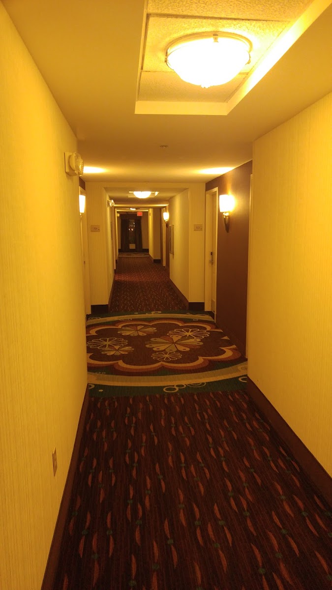 Hilton Garden Inn Nashville/Smyrna photo 3