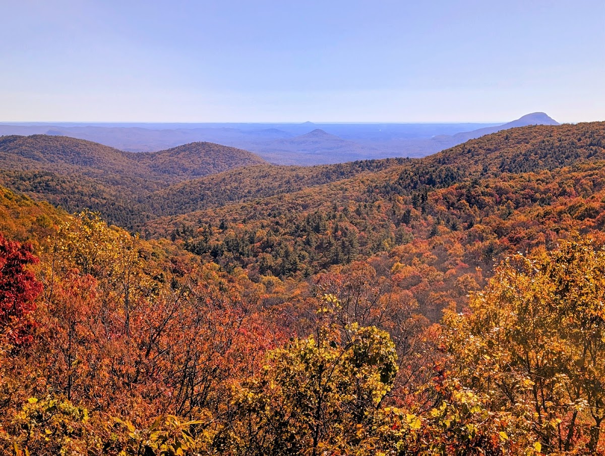 Chattahoochee-Oconee National Forest