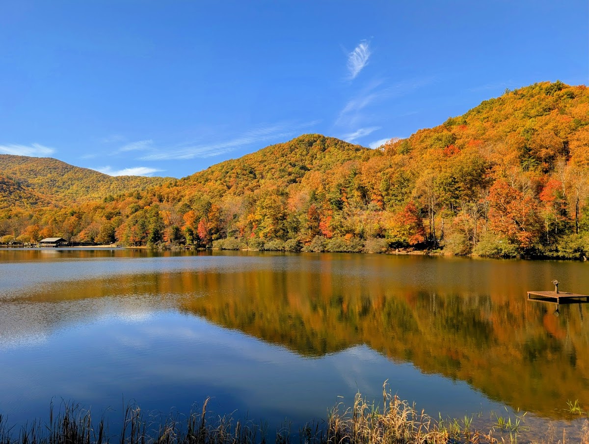 Vogel State Park