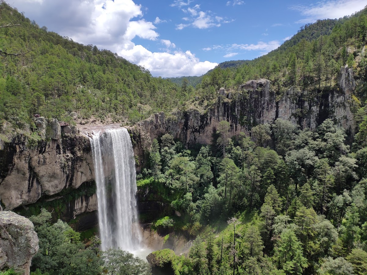 Salto Del Agua Llovida