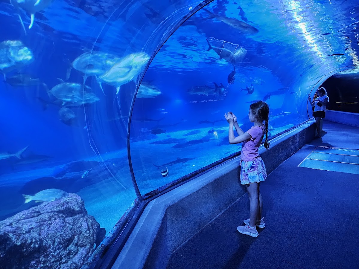 Maui Ocean Center, The Aquarium of Hawaii