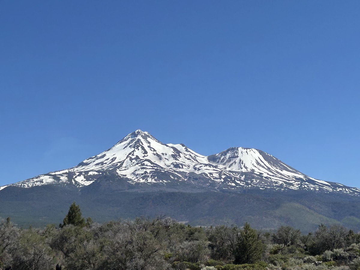 Shasta-Trinity National Forest